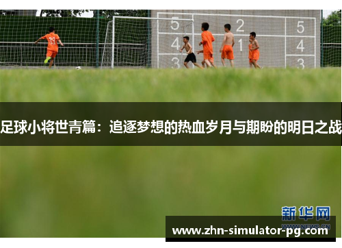 足球小将世青篇：追逐梦想的热血岁月与期盼的明日之战